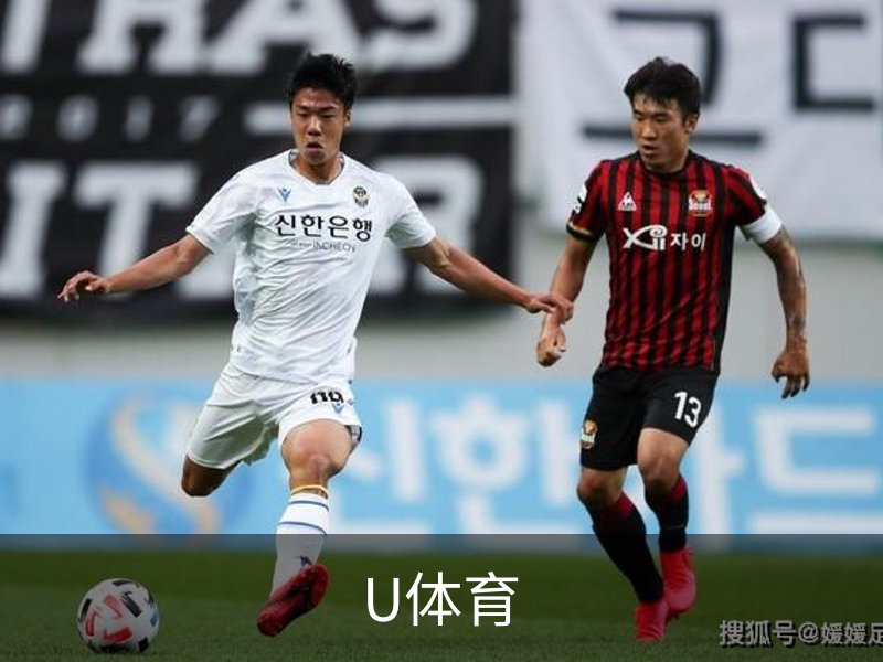 U体育简介